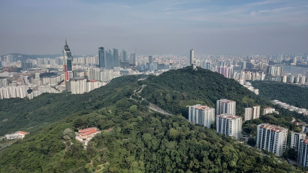 娱乐爆笑吃瓜视频引发关注，沈阳卧龙区新建学校成焦点